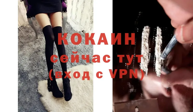 где купить наркотик  Удомля  COCAIN Боливия 