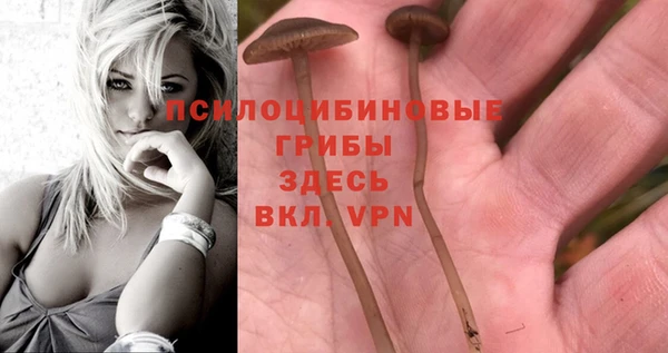 спайс Приозерск