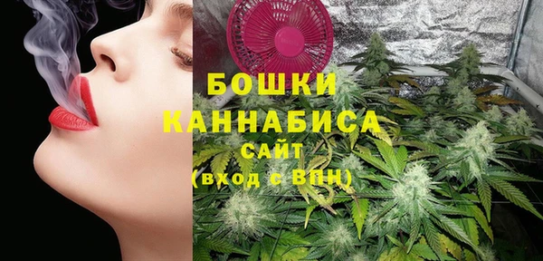 ПСИЛОЦИБИНОВЫЕ ГРИБЫ Протвино