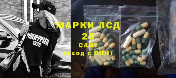 ПСИЛОЦИБИНОВЫЕ ГРИБЫ Протвино