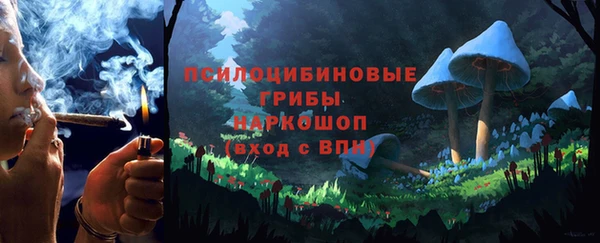 ПСИЛОЦИБИНОВЫЕ ГРИБЫ Протвино