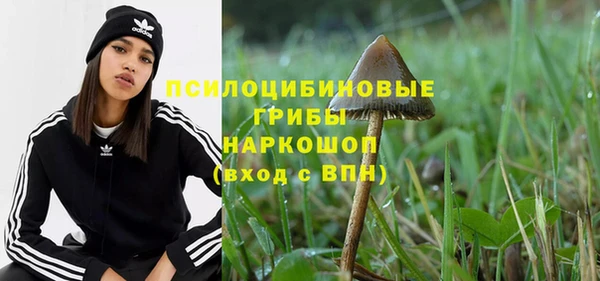 спайс Приозерск