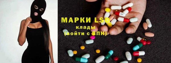 хмурый Верея