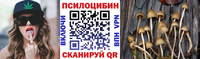 купить наркотик  Удомля  Псилоцибиновые грибы мицелий 