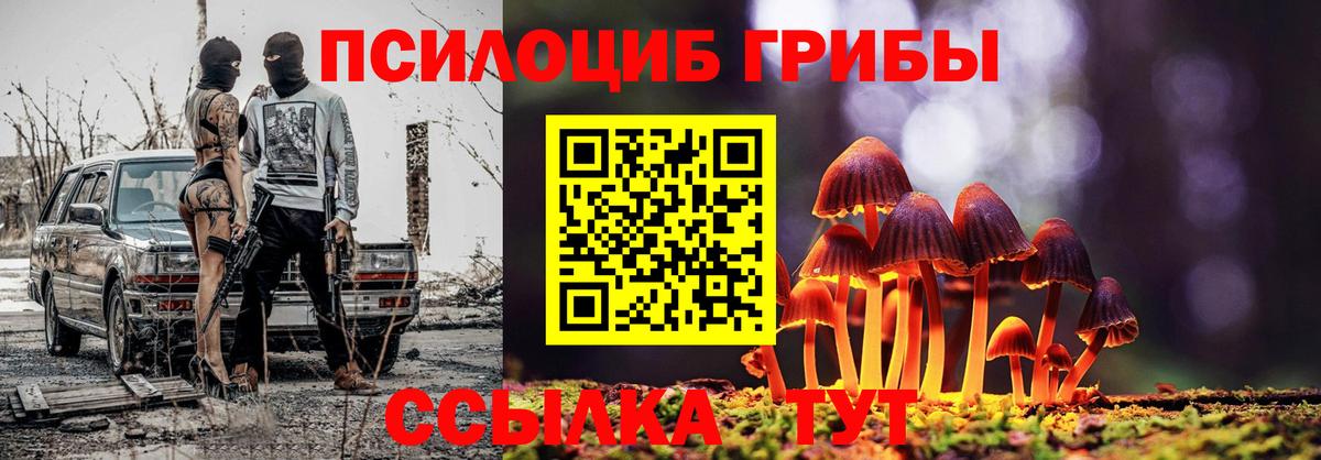Удомля  Галлюциногенные грибы прущие грибы  Псилоцибиновые грибы ЛСД  Вход с VPN 